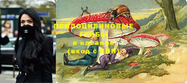 соль ск Верея